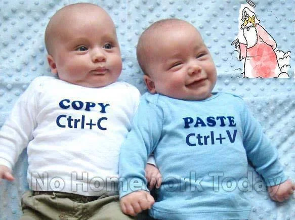 making twins.webp