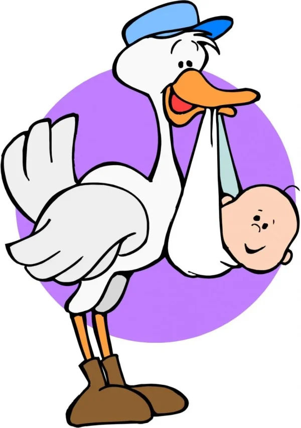 Stork.webp