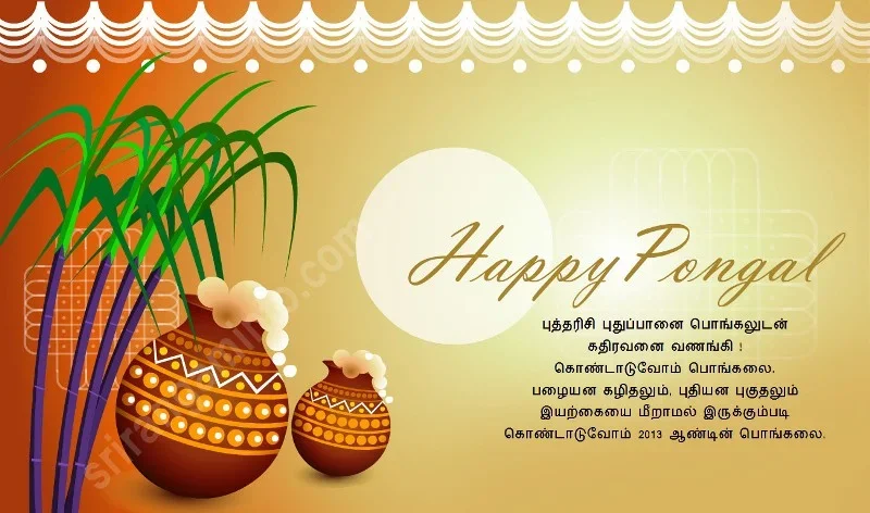 pongal2.webp