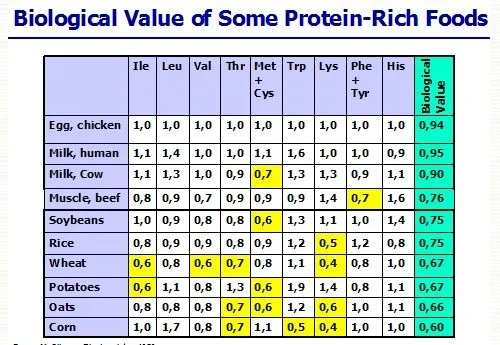 food values.webp