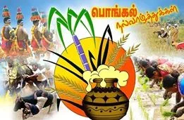 Pongal.webp