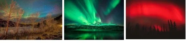 auroras.webp