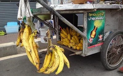 biggestbananaintheworld.webp