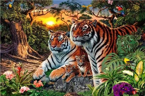 How Many Tigers.webp