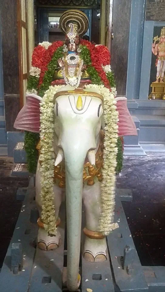 Srirangam Sri Desikan Thirunakshatram 6th day Yanai Vahanam..webp