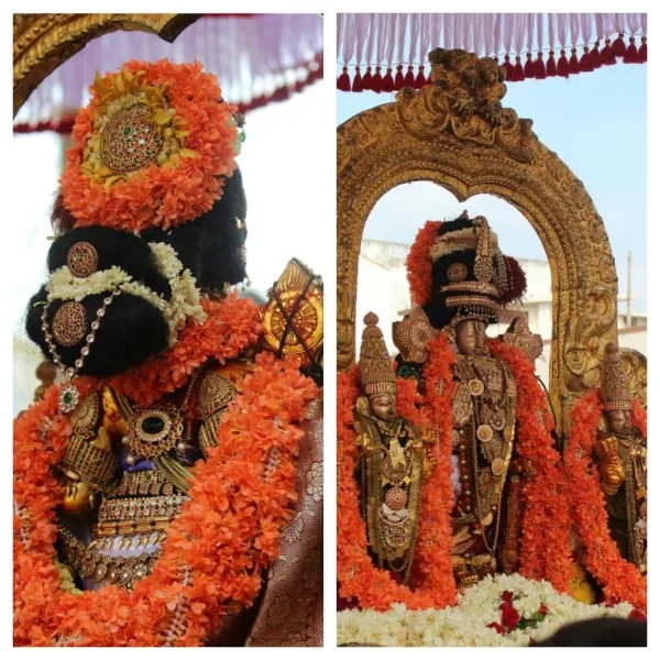 Sriperumbudur Sri Veeraraghavan, Kodali Mudichu Sevai.webp