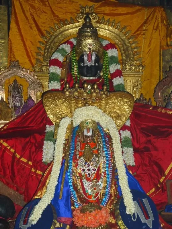 Sri Manavala Mamunigal Sannidhi, Melkote.webp