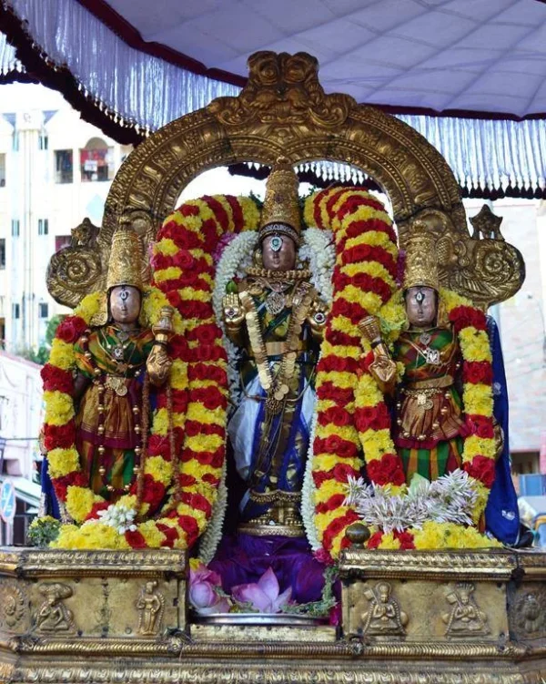 Puratasi Masam Sani varam 4 Sri Narasimhar (Azhagiyasingar) Purapadu.webp