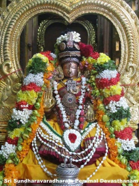 Sri Sundara Varadaraja Perumal | Tamil Brahmins Community