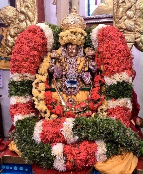 Sri Amirthavalli Thayar, Sri Madhava Perumal Sannithi, Mylapore. - Navratri Special Darshan, ...webp