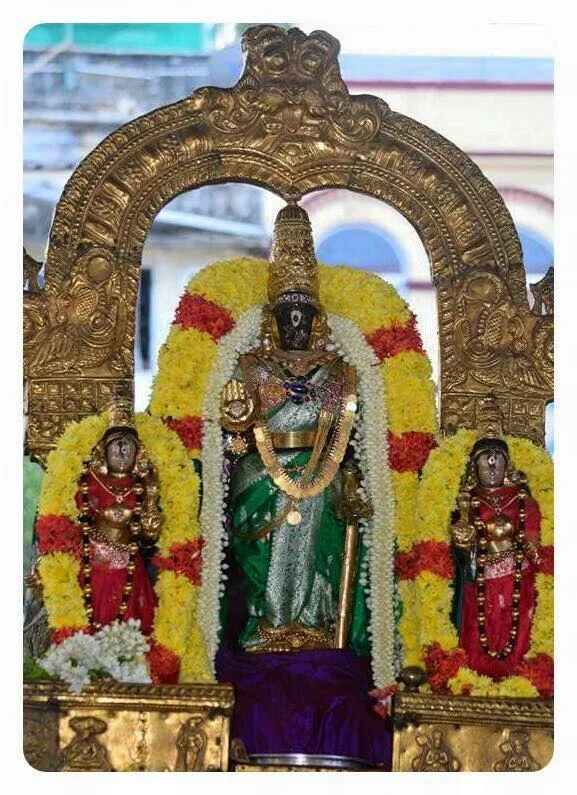 Sri Parthasarathy Pournami Purapadu on 27-10-15.webp