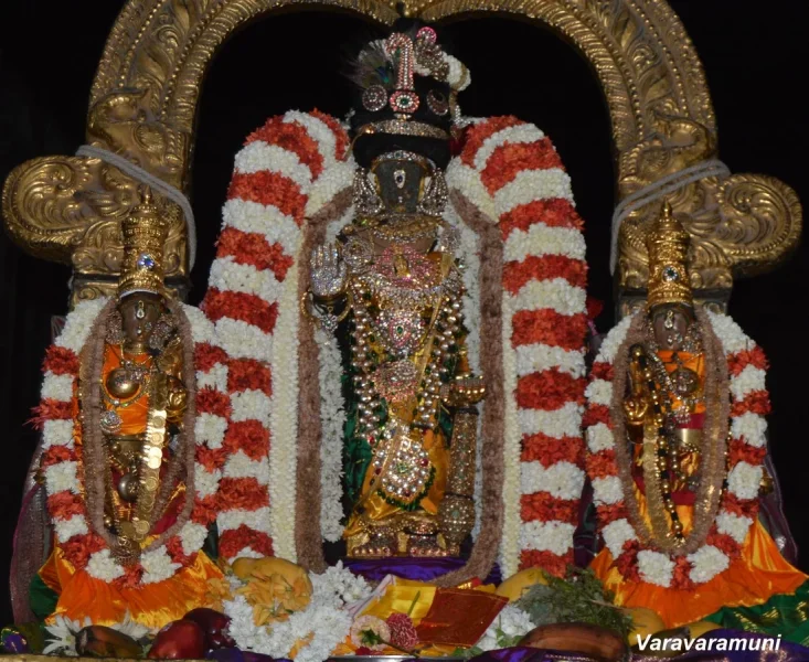 Sri Parthasarathy Swamy Ippasi Rohini Nakshatra Purappadu.webp