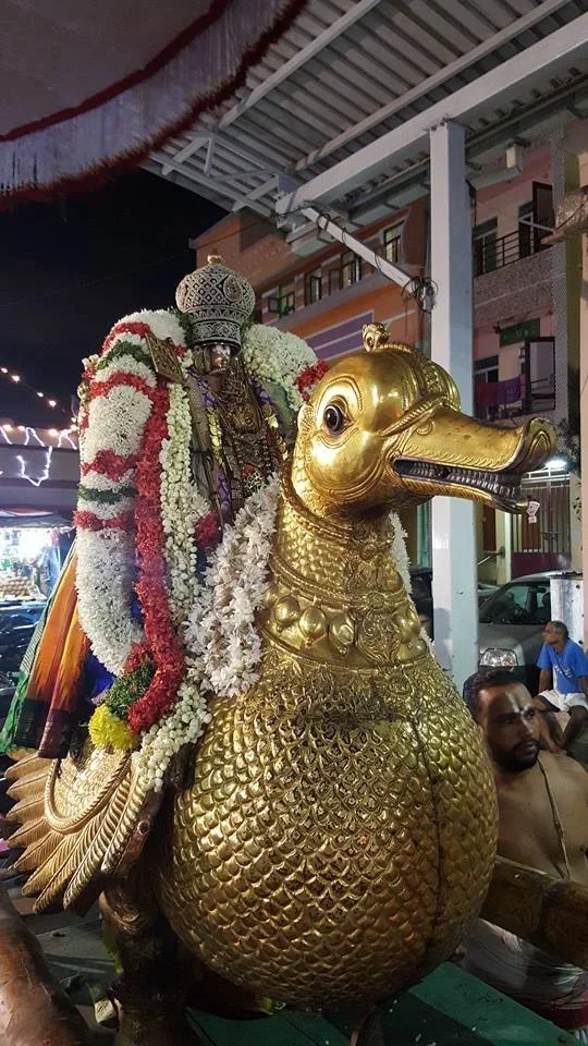 Sri Manavala Mamunigal swamy utsavam day 1 Amsa Vaughanam purapadu.webp