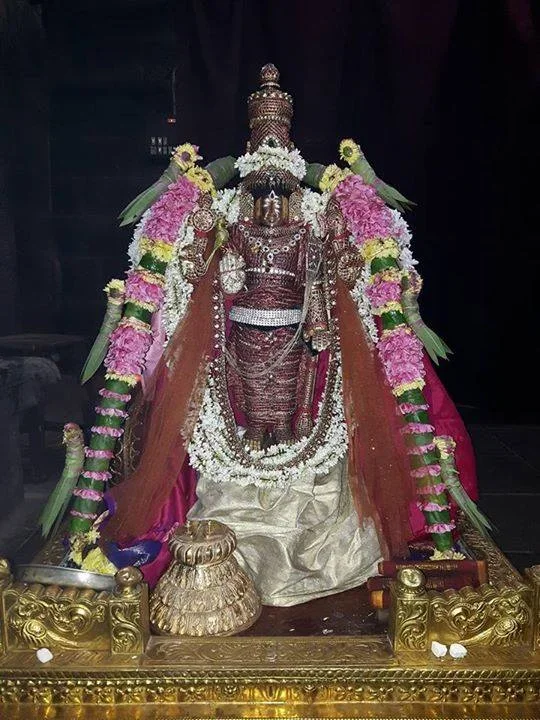 Thiruvaheendrapuram Sri Devanatha Swami.webp