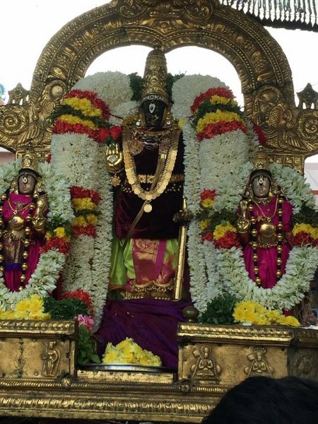 Sri Parthasarathy Swamy Ekadasi Purapadu.jpg