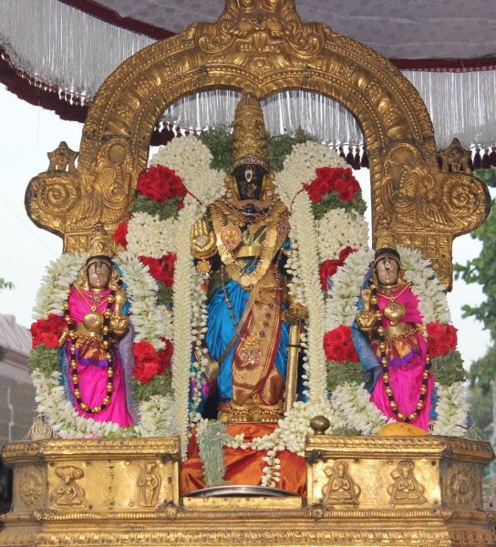 Vaikasi Masa Sri Parthasarathy Purapadu.jpg