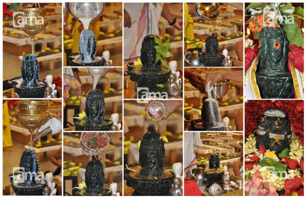 AMA_Vedic_Shivabhishekam_Collage.jpg