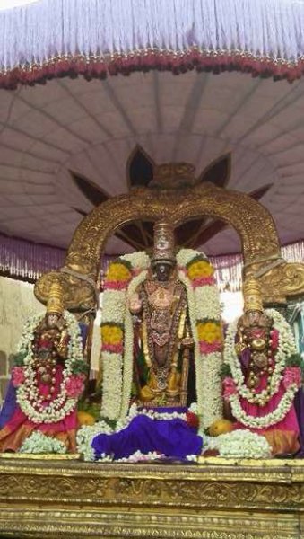 Sri Parthasarathy Vasanthotsavam.jpg