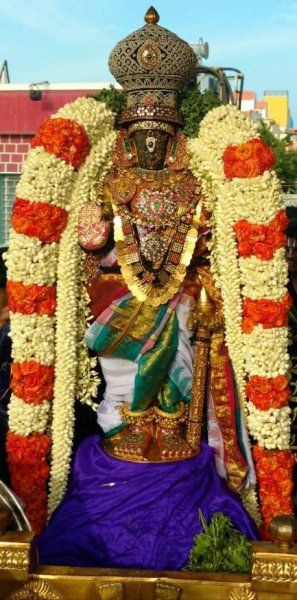 Sri Parthasarathy Purapadu - Kodai Utsavam Day 3, 2017.jpg
