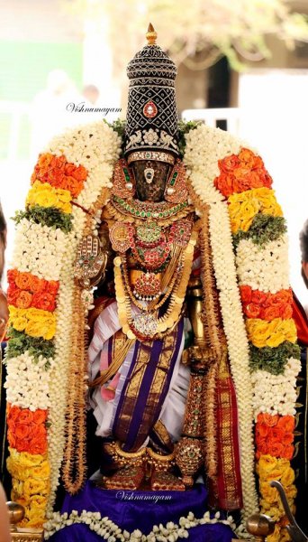 Kodai Utsavam - 4th Day Evening - Sri Parthasarathy Swamy Purappaadu.jpg