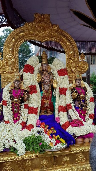 Aani Maasam Astham Thiru Nakshram Sri Vardhar Purapadu.jpg