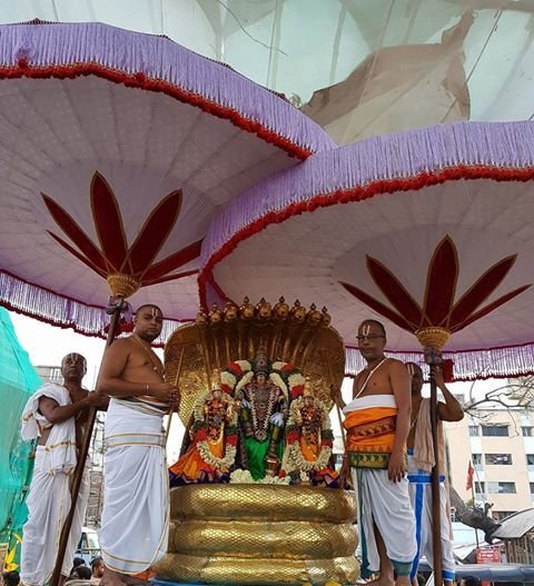 Sri Narasimhar Brahmotsavam Day 2 Morning Sesha Vaghanam.jpg