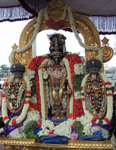 Dakshinayana Punniya Kalam Sri Parthasarathy Purapadu (2017).jpg