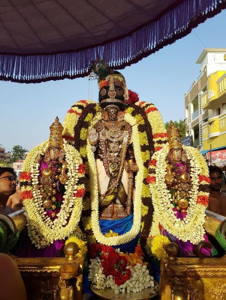 Aadi Amaavasai - Thiruvadipuram Sri Parthasarathy Swamy Purapadu 2017 - Day 7.jpg