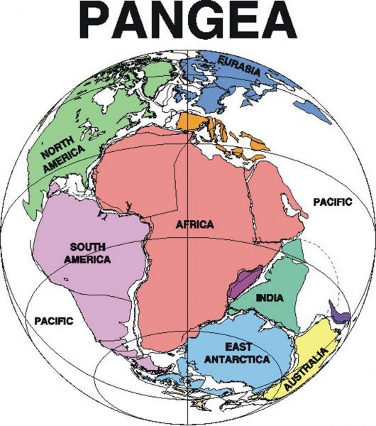 pangea.jpg