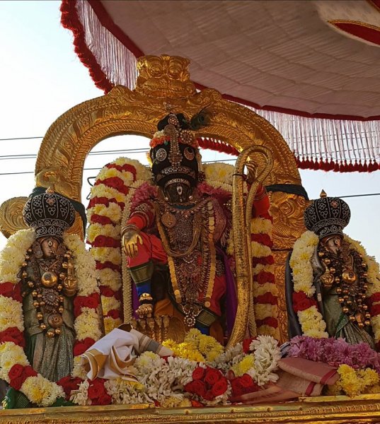 Thai Poosam Kathir Alangaram Sri Parthasarathy Purapadu.jpg